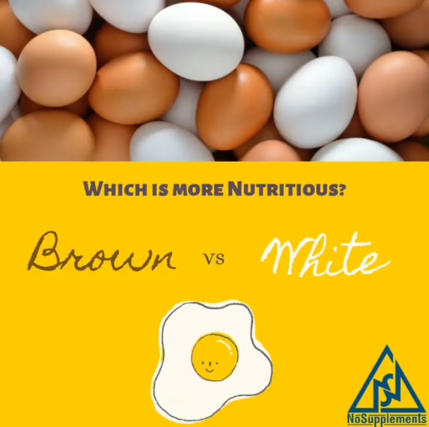 Brown Eggs Vs White Eggs | Blog | NoSupplements